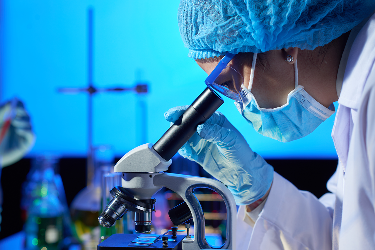 B.Sc Biotechnology